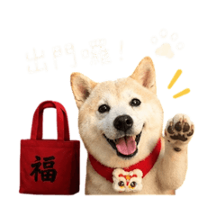 陳阿Q