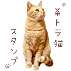 Redtabby sticker (Frequently used set)