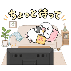 My White Java Sparrow