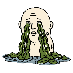 Wake Wakame Oji-san