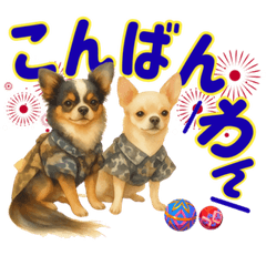 Yukichi & Sukekiyo the Chihuahuas