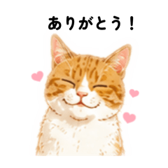 MIRIN_20260509135307