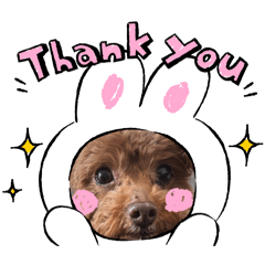 yume_20260509135724
