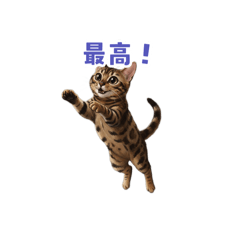 MUGI_915
