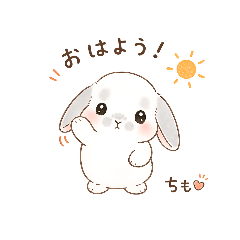 niko_20260509141609