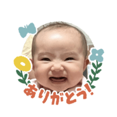 AraTa_20260509142511
