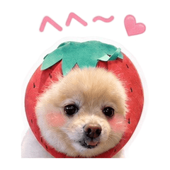 Barnie Daily Stickers 3 Pom