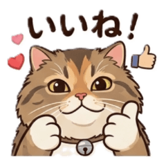 Expressing emotions using cats