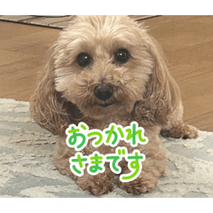 hana_20260509141121