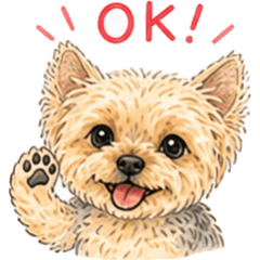 Cute Yorkie Daily Stickers