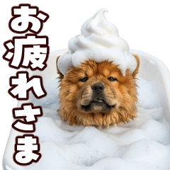 動く！ドジっ子チャウチャウ