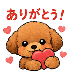 Cute Poodle Expressions
