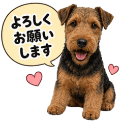 Welsh Terrier Daily Greeting Stickers