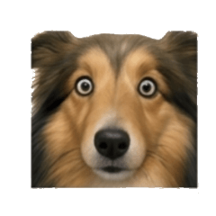 chao's Daily Chat Stickers sea4