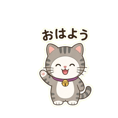 Marumon4