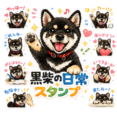 Black Shiba Daily Chats