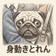 社畜巴哥犬小摩卡：通勤共鳴