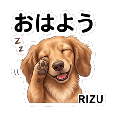 Rizu Daily Stickers Vol01