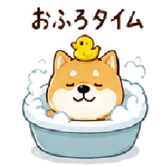 A Day in the Life of a Shiba Inu.