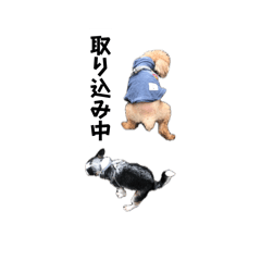 ODA_20260509143053