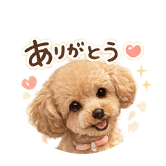merci stamp_20260509143101