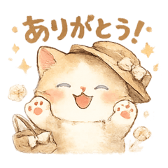 machico_20260509143122
