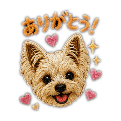 Sammy_20260509144058