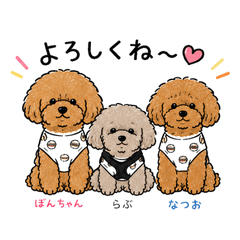 Bom,Love&Natsuo's Everyday Life