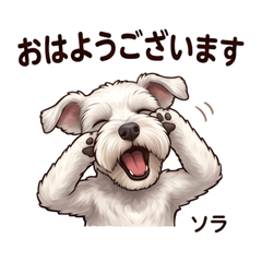 Sora Sky Mood Stickers Vol01