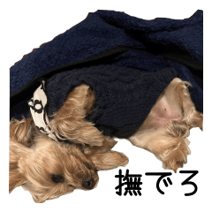Itouke Komachi Sticker