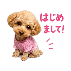 Fun toy poo