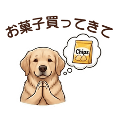 Happy Golden: Daily Stickers5