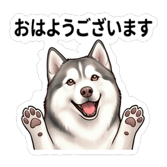 Haru Casual Daily Stickers Vol01