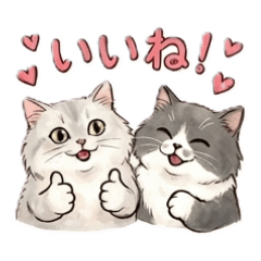 Expressing emotions using cats Part 2