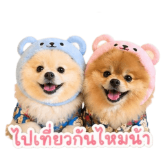 Lucky & Money V.2