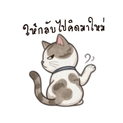 Thing-Shi Funny Cat