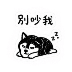 Lil Shiba Scribbles II