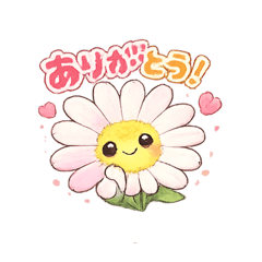 ohana_sutanp