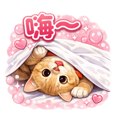 貓貓胖胖