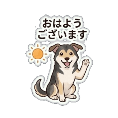 Kuro the Black Dog  Always by Your Side
