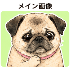 Workday Grumble Pug