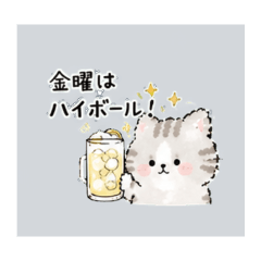 Fluffy cat who loves highball