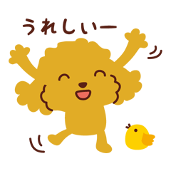 トイプードル_うれしい思い