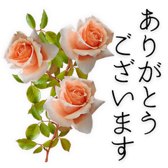 Rose & Elegant Greetings ver.2