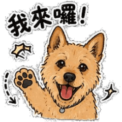 莎莎 1 號