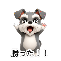 Higeoji Sports Fan