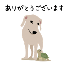 Heartfelt! Polite Dog & Turtle Stickers