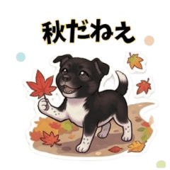 Cute mixed breed dog, Goma sticker,