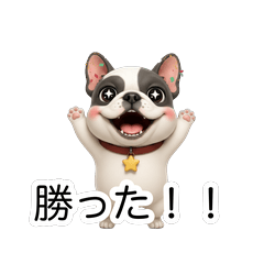 Frenchie Sports Fan