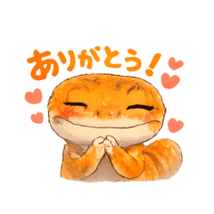 Leopard Gecko Ponchan